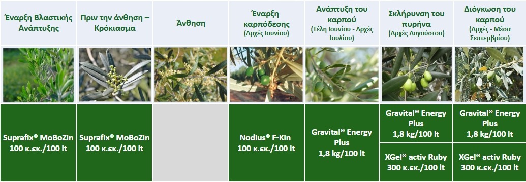 Πρόγραμμα Λειτουργικής Θρέψης Καλλιεργειών® – Ελαιοποιήσιμη Ελιά