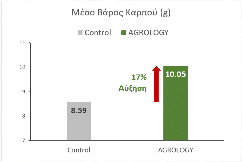 Εικόνα 5. Μέσο Βάρος Καρπού (g). Με την εφαρμογή του προγράμματος Agrology, επιτεύχθηκε αύξηση του μέσου βάρους καρπού κατά 1,46 g (+17%), συγκριτικά με τον Μάρτυρα.