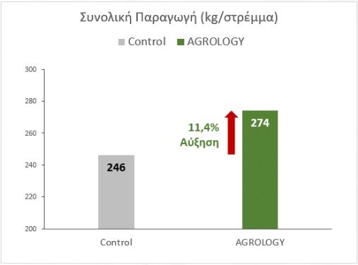Εικόνα 9. Αύξηση συνολικής παραγωγής​ 11,4% (28 kg ανά στρέμμα).