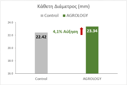 Εικόνα 2. Με την εφαρμογή του προγράμματος Agrology, επιτεύχθηκε αύξηση της κάθετης διαμέτρου καρπού κατά 0,92 mm (+4,1%), συγκριτικά με τον Μάρτυρα.