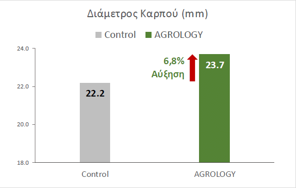 Εικόνα 2. Διάμετρος Καρπού (mm). Με την εφαρμογή του προγράμματος Agrology, επιτεύχθηκε αύξηση της διαμέτρου καρπού κατά 6,8%, συγκριτικά με τον Μάρτυρα.