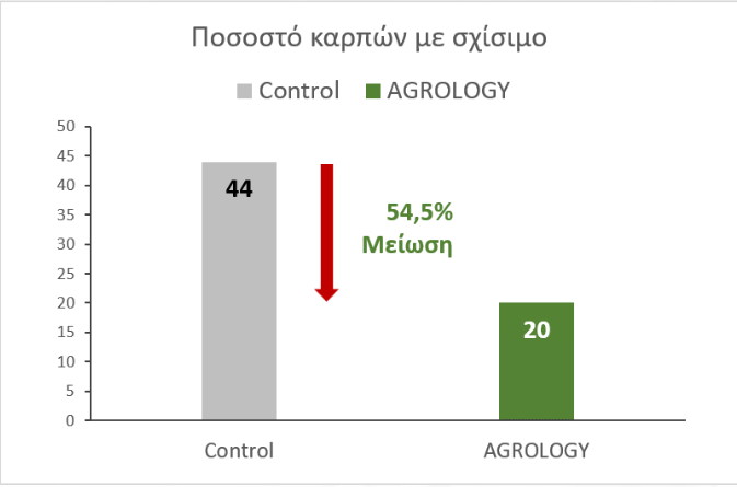 Εικόνα 2. Ποσοστό Σχισίματος. Με την εφαρμογή του Προγράμματος Agrology, επιτεύχθηκε μείωση σχισίματος κατά 54,5%, συγκριτικά με το Μάρτυρα.​