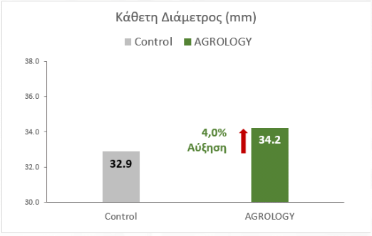 Εικόνα 2. Κάθετη Διάμετρος Καρπού (mm). Με την εφαρμογή του προγράμματος Agrology, επιτεύχθηκε αύξηση της κάθετης διαμέτρου καρπού κατά 1,33 mm. (+4,0%), συγκριτικά με τον Μάρτυρα.