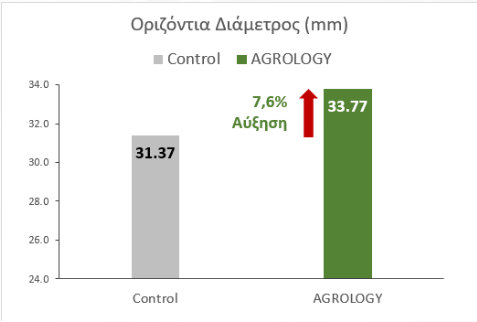 Εικόνα 3. Με την εφαρμογή του προγράμματος Agrology, επιτεύχθηκε αύξηση της οριζόντιας διαμέτρου καρπού κατά 2,4 mm (+7,6%), συγκριτικά με τον Μάρτυρα.