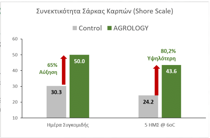 Εικόνα 3. Συνεκτικότητα Σάρκας. Με την εφαρμογή του Προγράμματος Agrology, επιτεύχθηκε διατήρηση της συνεκτικότητας κατά 80,2%, συγκριτικά με το Μάρτυρα.
