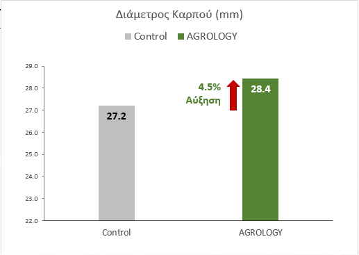 Εικόνα 4. Διάμετρος Καρπού (mm). Με την εφαρμογή του προγράμματος Agrology, επιτεύχθηκε αύξηση της διαμέτρου καρπού κατά 4,5%, συγκριτικά με τον Μάρτυρα.​