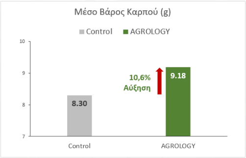 Εικόνα 5. Μέσο Βάρος Καρπού (g). Με την εφαρμογή του προγράμματος Agrology, επιτεύχθηκε αύξηση του μέσου βάρους καρπού κατά 0,88 g (+10,6%), συγκριτικά με τον Μάρτυρα.
