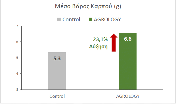 Εικόνα 5. Μέσο Βάρος Καρπών (g). Με την εφαρμογή του Προγράμματος Agrology, επετεύχθη αύξηση του μέσου βάρους των καρπών κατά 23,1%, συγκριτικά με τον Μάρτυρα.