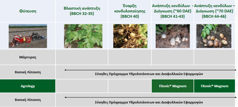 Εικόνα 1. Πρόγραμμα Θρέψης – Πατάτα (Καλοκαιρινή)​