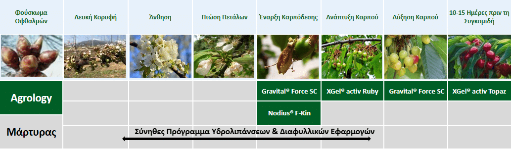 Εικόνα 1. Πρόγραμμα Λειτουργικής Θρέψης Καλλιεργειών® – Κεράσι